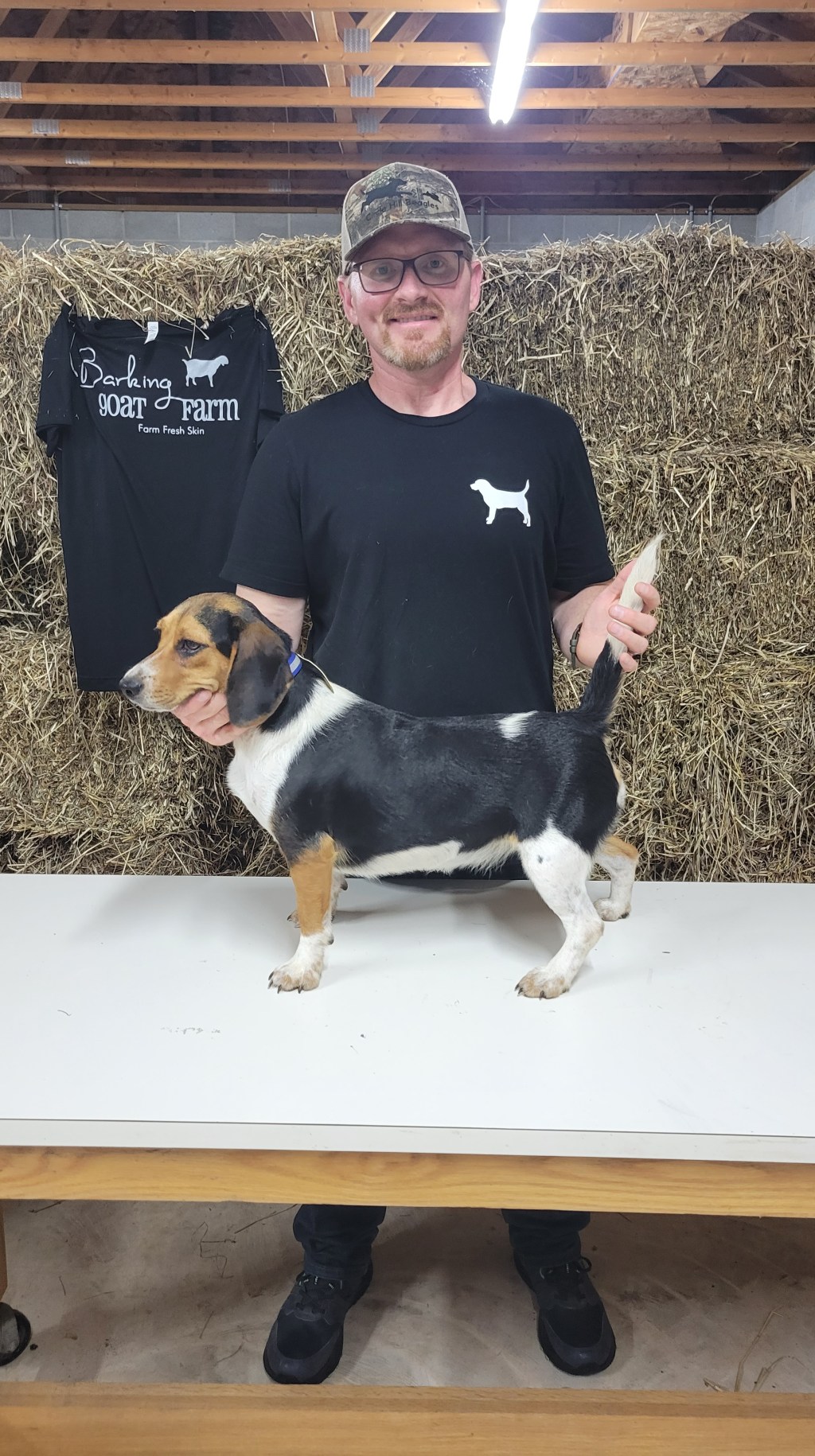 Circle Hill Princess